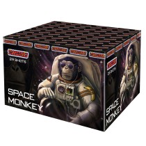 Space Monkey 